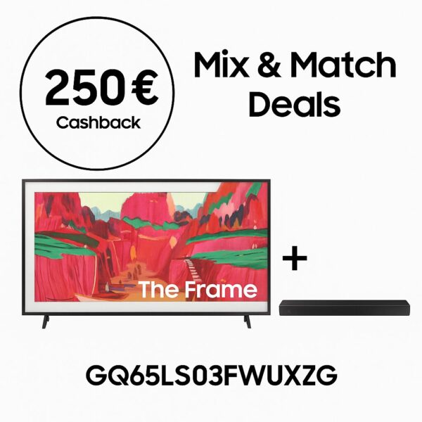 Samsung GQ65LS03FWUXZG (2025) - 65 Zoll The Frame Pro Wireless One Connect Box