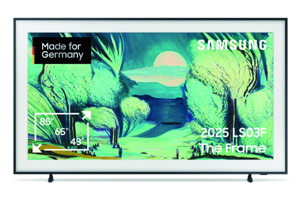 Samsung GQ55LS03FAUXZG The Frame 2025 Atlas Vision Store München