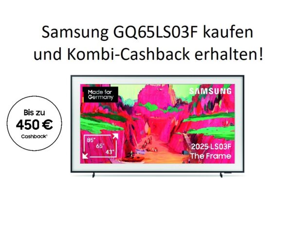 Samsung GQ65LS03FWUXZG (2025) - 65 Zoll The Frame Pro Wireless One Connect Box