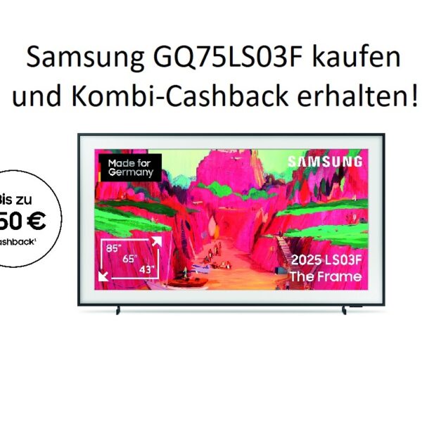 Samsung GQ75LS03FWUXZG (2025) - 75 Zoll The Frame Pro Wireless One Connect Box